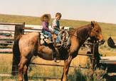 Harrell Horses