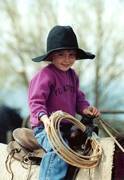 Harrell Horses