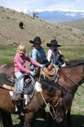 Harrell Horses