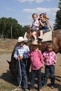 Harrell Horses