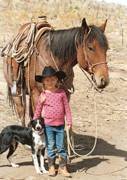 Harrell Horses