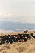 What a view : click to enlarge.