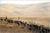 What a view : click to enlarge.