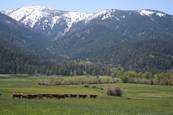 What a view : click to enlarge.