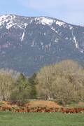 What a view : click to enlarge.