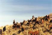 What a view : click to enlarge.