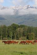 What a view : click to enlarge.