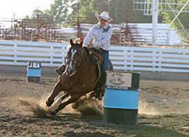 Harrell - Mackenzie Quarter Horses :: Oregon