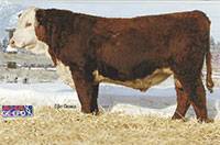 H5 3155 ADVANCE6148 ET