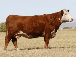298