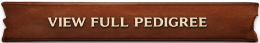 pedigree button